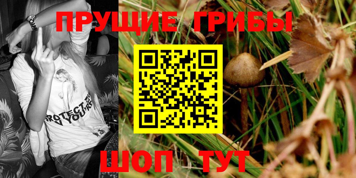 Малгобек  Галлюциногенные грибы мухоморы  Псилоцибиновые грибы GOLDEN TEACHER  Вход с VPN 